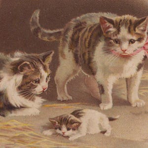 Cartolina originale degli anni '10 con gatta e gattini in un cesto dell'artista Helena Maguire - Gatto d'epoca vittoriano edoardiano litografico cromo antropomorfo