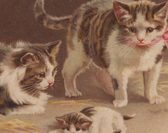 Original 1910s Mother Cat & Kittens in Basket Artist Helena Maguire Postcard - Vintage Cat Victorian Edwardian Litho Chromo Anthropomorphic