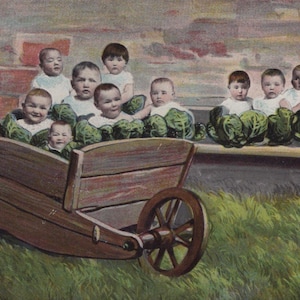 Carte postale victorienne originale de multi-bébés dans une brouette avec des choux des années 1900 - plusieurs enfants de collage de montage de bébé