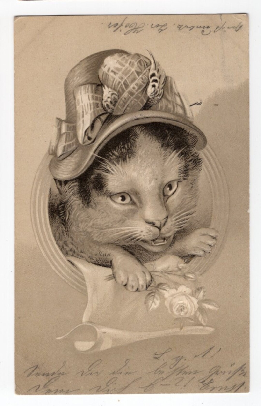 unoa 【Victorian cats Blue green】 unoa 【Victorian cats Blue