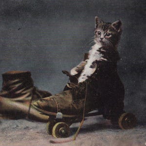Cartolina antica originale del 1900 con gattino in un roller Sakte - Gatto vittoriano edoardiano d'epoca