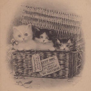 Postal antigua de artista original de gatitos en una cesta navideña de la década de 1900 - Litografía vintage de gato eduardiano victoriano