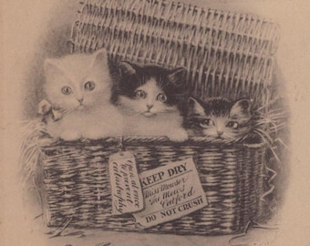 Original 1900s Kittens in a Christmas Basket Antique Artist Postcard -  Vintage Victorian Edwardian Cat Litho