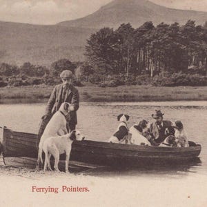 May include: Vintage sepia-toned photograph of a man with several dogs in a wooden rowboat on a lake. The dogs are various breeds, including pointers. The text "Ferrying Pointers" is at the bottom of the image.