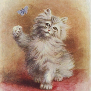 Original 1910er Jahre Persische Kätzchen & Schmetterling Künstler signierte George Rankin Illustrierte Postkarte - Vintage Katze Victorian Edwardian