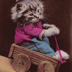 1930年代のオリジナル子猫がカートに乗っているアンティークの実写ポストカード - ヴィンテージRPPC猫ドレス手彩色