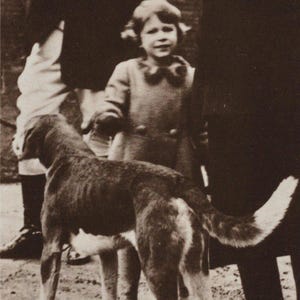 Fox Hound originale des années 1930 avec la princesse Elizabeth London Zoo Antique Real Photo carte postale - animaux vintage