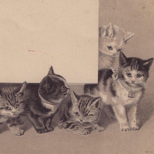 Original 1900s Five Cats Artist Helena Maguire Postcard - Vintage Cat Victorian Edwardian Litho Chromo Anthropomorphic Kitten