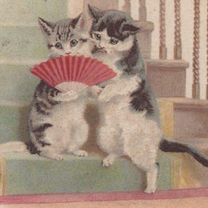 Original 1900s Anthropomorphic Romantic Cats With Fan Artist Helena Maguire Postcard - Vintage Cat Victorian Edwardian Litho Chromo