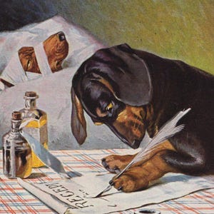 Postal ilustrada firmada por un artista, doctor y paciente, de la década de 1910: perro salchicha antiguo de la época eduardiana.