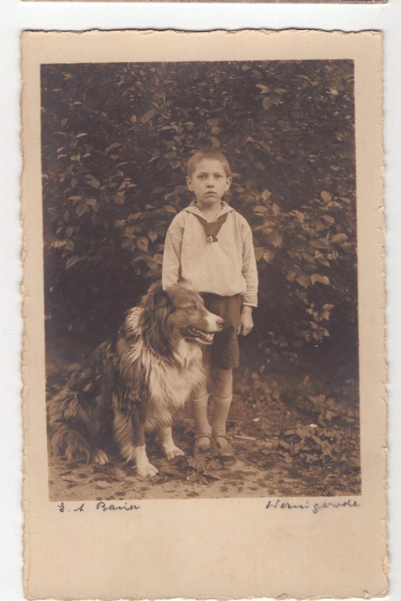 Original 1900s Little Boy & Rough Collie Puppy Real Photo Postcard Antique Vintage RPPC Edwardian Victorian Pet Dog image 1