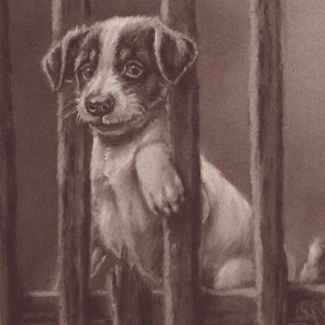 Original 1910s Jack Russel Welpen Künstler signierte illustrierte Postkarte - Vintage Terrier Hund Victorian Edwardian Minnie Keene
