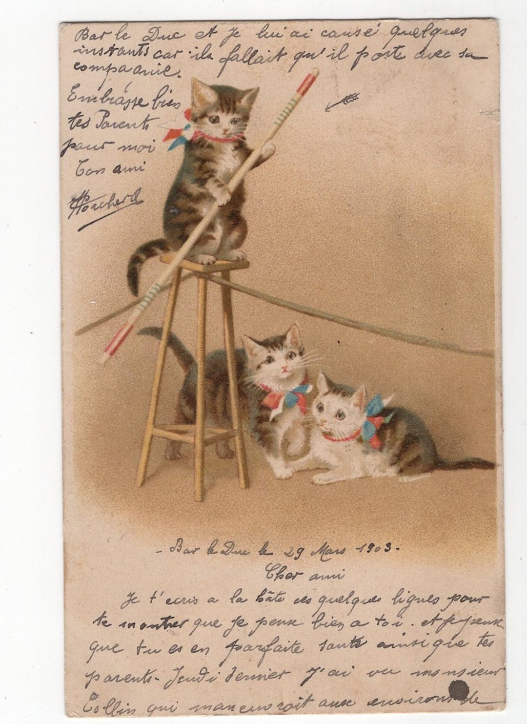 オリジナル 1900 年代サーカス猫と子猫アーティスト ヘレナ マグワイア