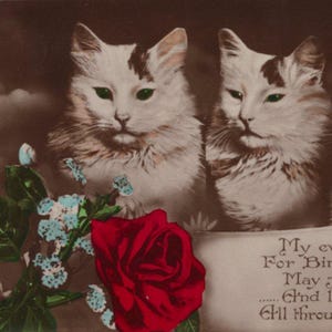 Postal antigua con foto real, original de la década de 1930, de gatos calicó con flores, coloreada a mano - RPPC victoriana vintage eduardiana en relieve