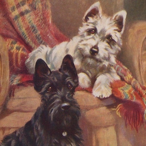 Postal original ilustrada por Mabel Gear de un westie y un terrier escocés de la década de 1940: perro blanco vintage de las Tierras Altas de West Highland Scotty.