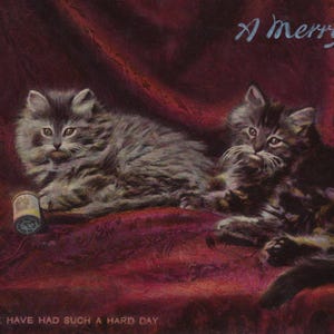 Cartão postal antigo original de um par de lindos gatinhos persas da década de 1900 - Gato eduardiano vintage