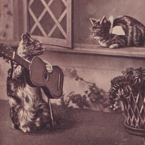 Cartolina antica originale Romeo e Giulietta degli anni 1900 con gatti romantici - Gatto vintage vittoriano edoardiano cromo antropomorfo