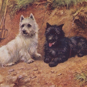 Carte postale illustrée originale de l'artiste Westie et Terriers écossais des années 1910 - vintage Scotty Dog West Highland