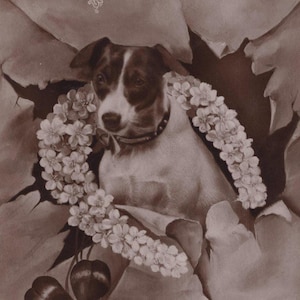 Postal antigua con foto real de un Jack Russell de la década de 1910 con un trébol de cuatro hojas de la suerte - Perro RPPC victoriano eduardiano vintage