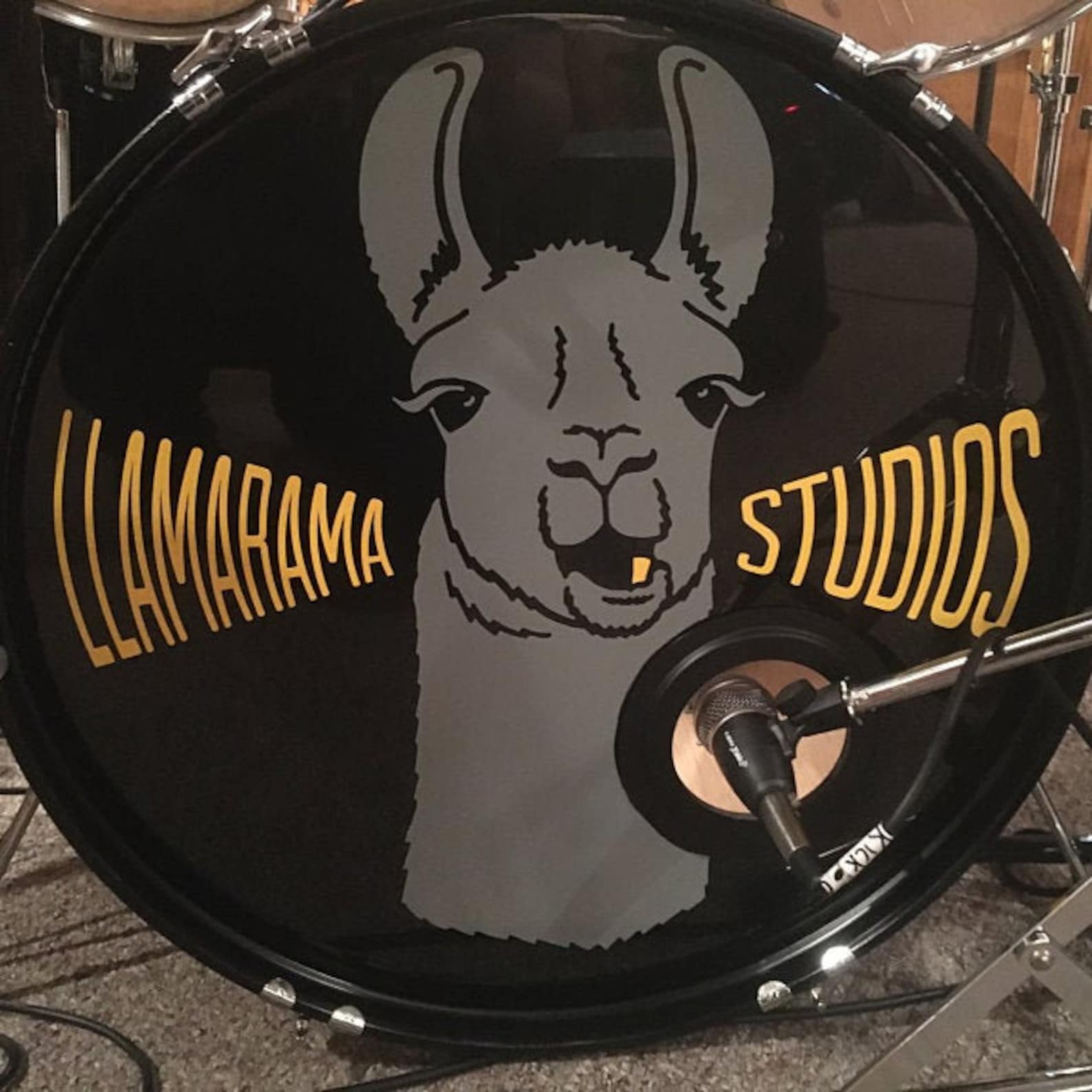 Custom Bass Drum Decal Bass Drum Sticker Custom Band Name Etsy