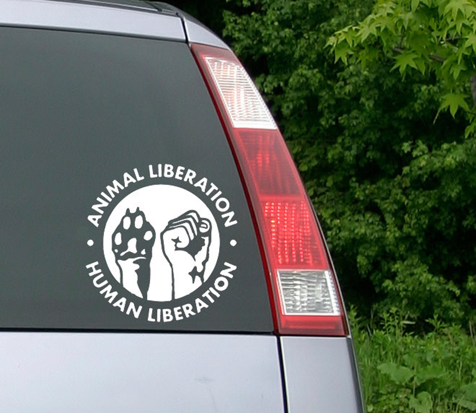 Animal Rights Decal Animal Liberation Vegan Vegetarian Etsy