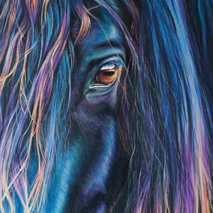 19.6x27.5&quot; Eye of a horse. Limited Edition XL Poster.