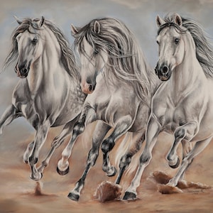 19.6x27.5&quot;  Galloping andalusians. Limited edition XL Print.