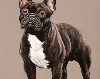 French Bulldog Original Pastel Drawing