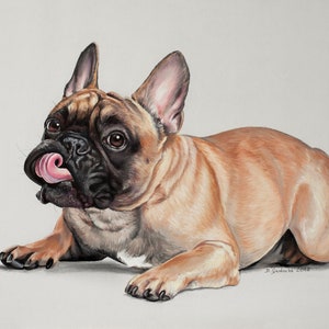 Dessin original au pastel de bouledogue français