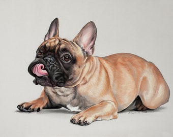 French Bulldog Original Pastel Drawing