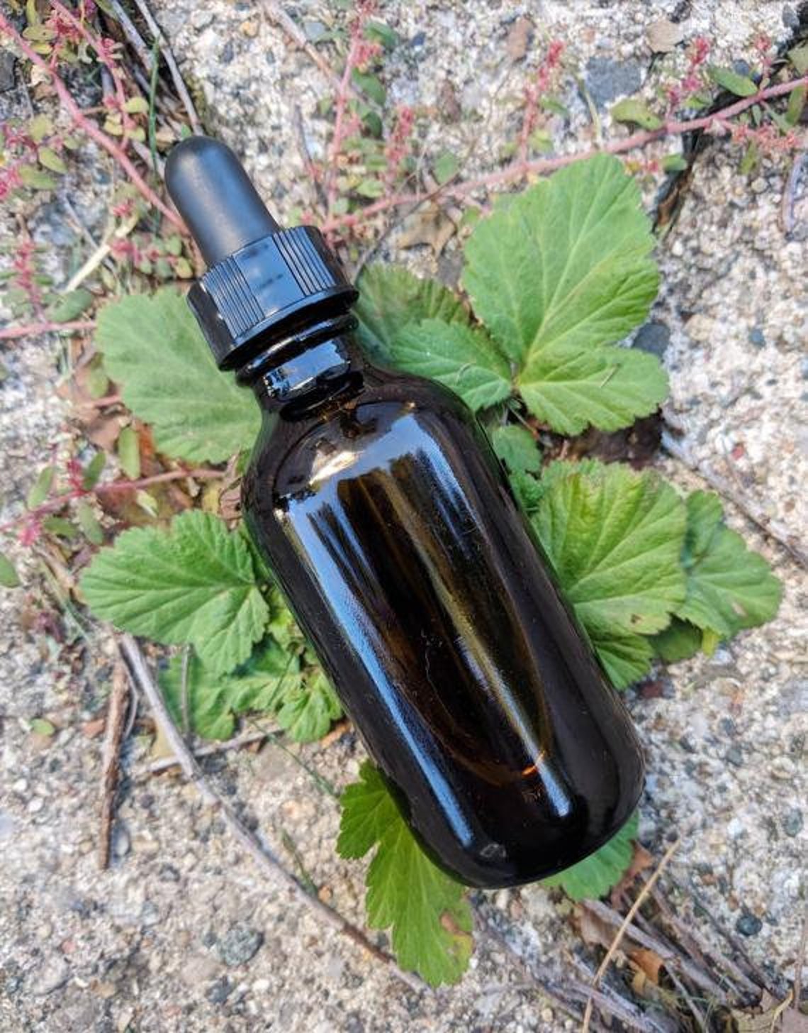 Organic Glass Skin Makeup Primer Natural Vegan Color Etsy