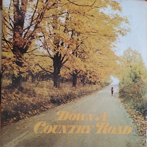 Down a Country Road, Compilation Album with Original Artists and Song, Vintage Vinyl Record Album, Classic Country Music