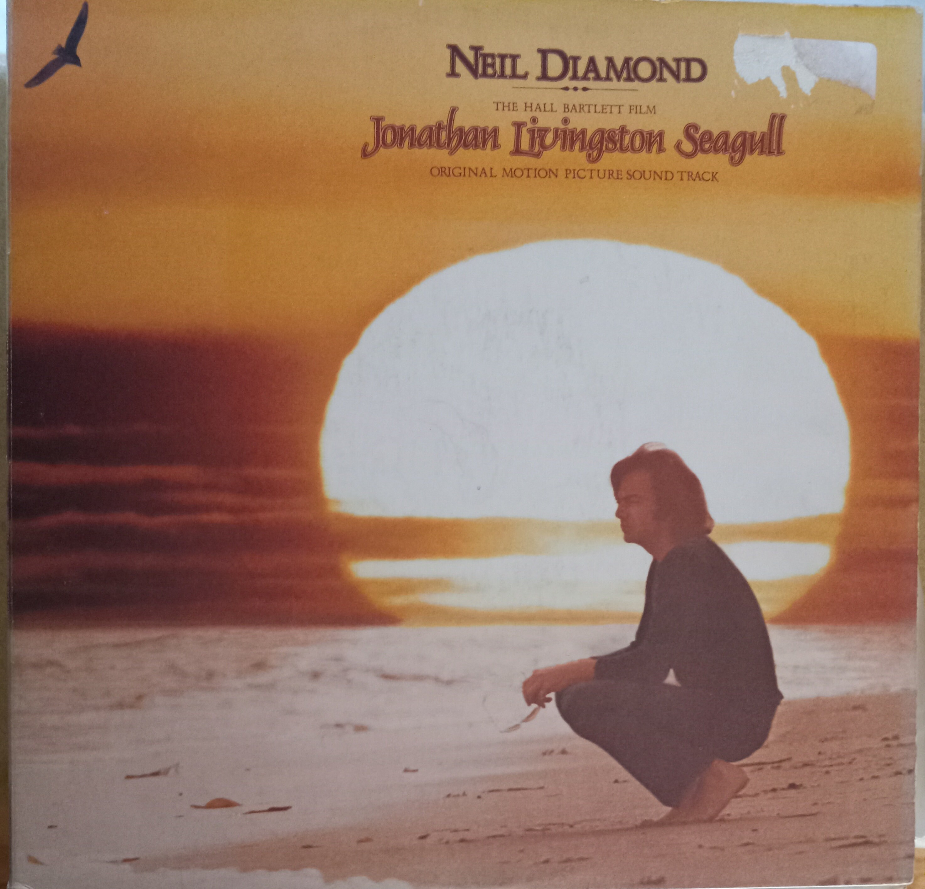 Jonathan Livingston Seagull - Etsy