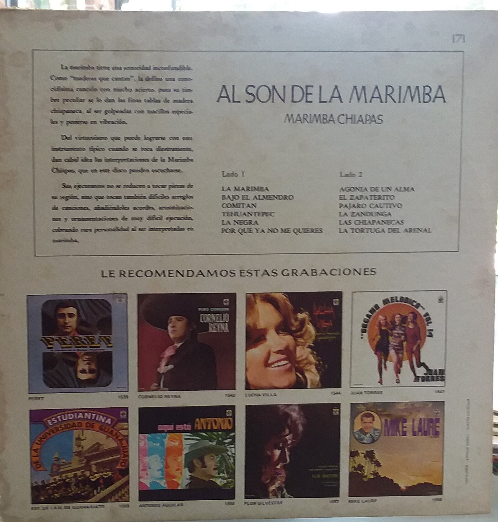 Al Son De La Marimba Marimba Chiapas Vintage Record Album Etsy