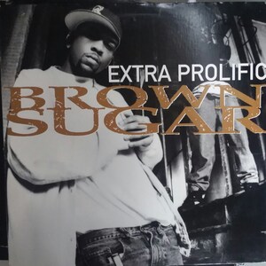 Extra Prolific, Brown Sugar, 12&quot; DJ Club Play Single, Remixes, Vintage Vinyl Record, Classic Hip Hop Rap, Alternative Hip Hop Duo, 1994