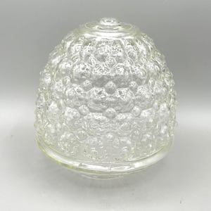 May include: Clear glass light fixture shade with a textured, bubble-like surface. The shade has a rounded, egg-like shape and a slightly flared base. The glass is transparent, allowing light to pass through. The fixture is designed to diffuse light.
