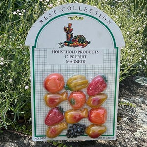 Vintage Fruit Refrigerator Magnets. New Old Stock. Retro Kitchen. 1970s 1980s Kitchen. Plastic Fruits.