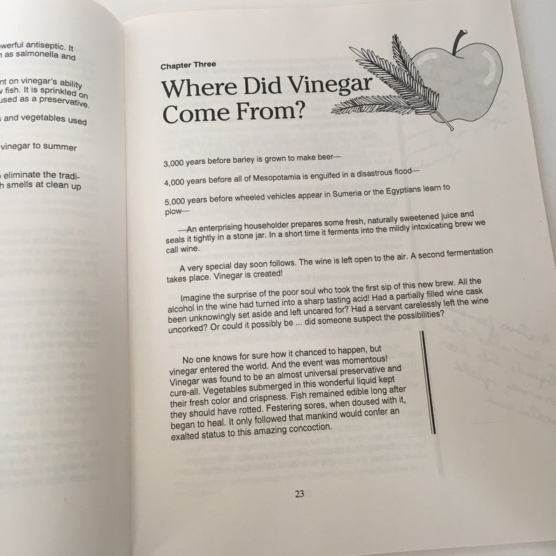 The Vinegar Book. Emily Thacker. Vinegar Uses. 1994. Natural Etsy