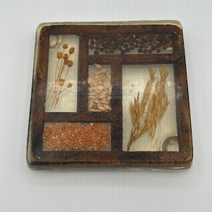 May include: A square, brown wooden frame with clear resin filled with various dried plants and seeds. The frame is divided into six sections, each containing a different type of plant or seed. The plants and seeds are arranged in a visually appealing way, creating a unique and interesting piece of art.