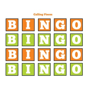 Juego de BINGO de dinosaurios, juego de fiesta de dinosaurios, juego de bingo imprimible para niños Juego de bingo para niños Dinosaurio, Juego de bingo Descarga instantánea imagen 5