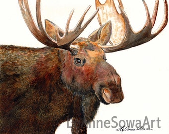 Moose Watercolor, Moose Painting, Bull Moose, Original watercolor, Antlers, Michelangelo Moose for Moose Lovers