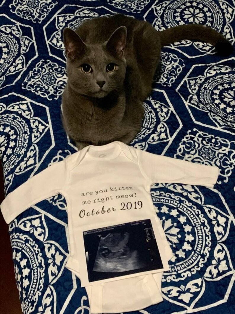 Are You Kitten Me Right Meow Birth Announcement Onesie Etsy