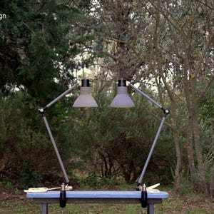 May include: Two grey desk lamps with adjustable arms and conical shades are clamped to a blue table. The lamps have black accents and are set against a backdrop of trees and foliage. The text "DLiteDesign" is in the upper left corner.