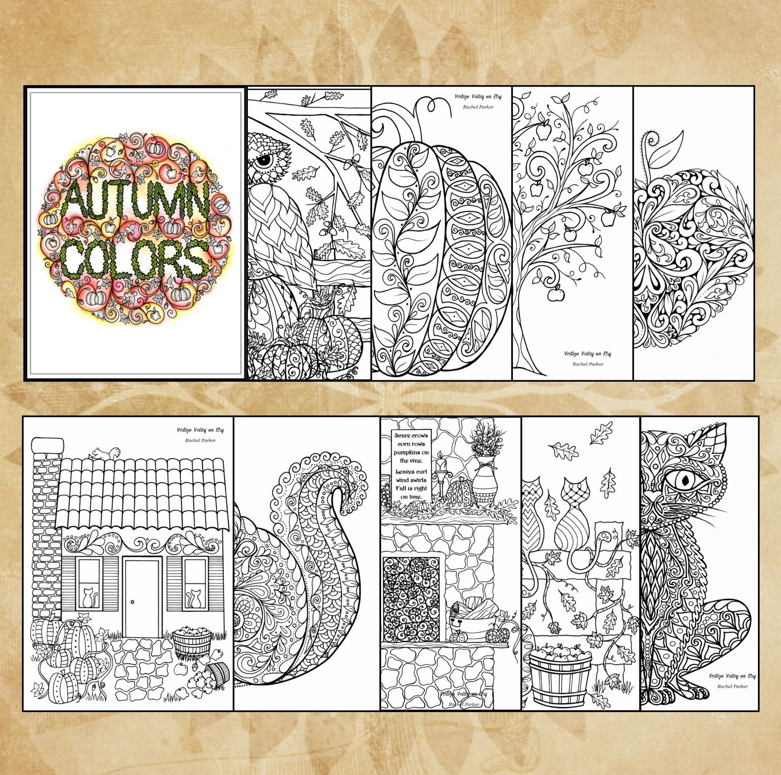 DIGITAL DOWNLOAD** 45-page Printable Coloring Book "changing of the