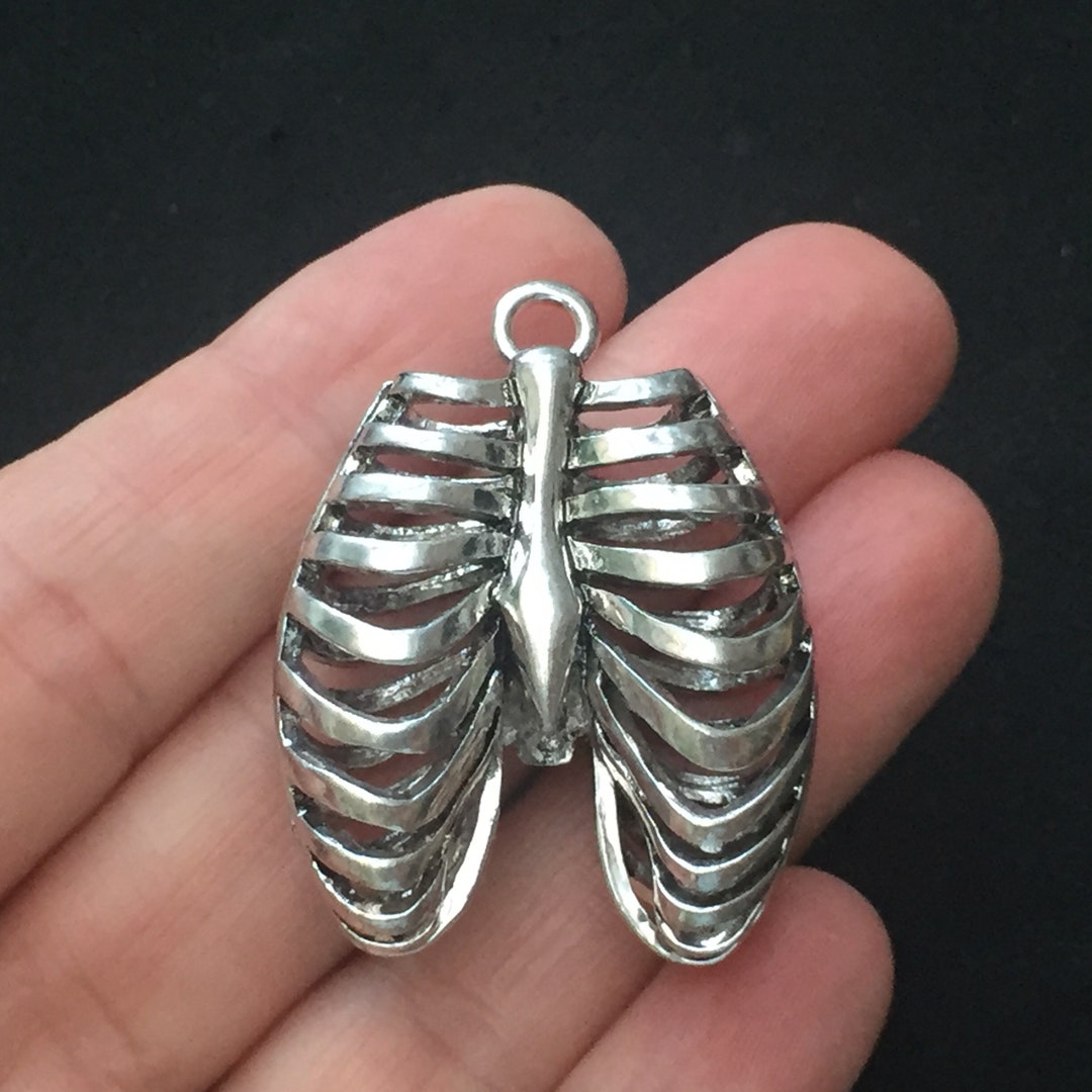 1 Rib Cage Anatomical Charm Antique Silver Tone ANA06 - Etsy UK
