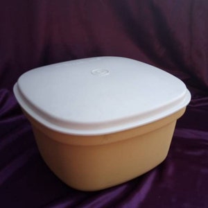 Tupperware Family Sized Microwave Steamer