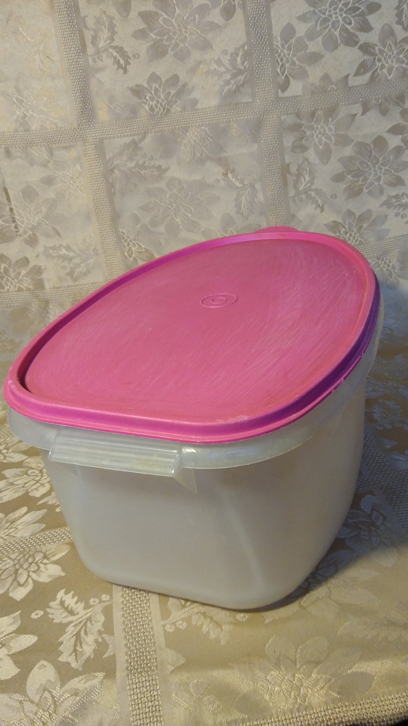 Tupperware Flavor Saver Container 487 with Lid & Insert Etsy