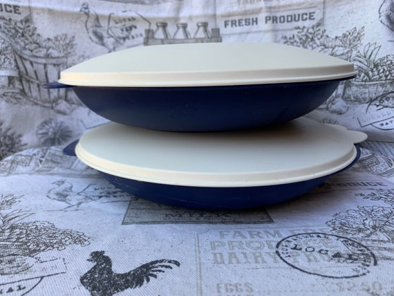 Vintage Tupperware Reheatables Divided Plates Blue 