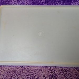 May include: A rectangular, light blue plastic container with a rounded edge. The container has a slightly raised rim and a small circular indentation in the center. The background is a purple patterned fabric.