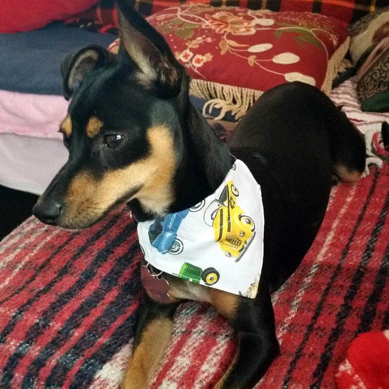 Model Cars Print Dog and Pet Bandanna Antique Cars Fabric Print Pet Bandana Over the Collar Dog Bandana Vintage Cars Print Dog Bandana